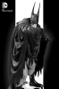 фотография Batman Black & White Statue Batman