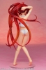 фотография Shana Swimsuit Ver.