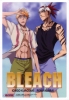фотография Clear Soul Plate 2: Kurosaki Ichigo & Abarai Renji 