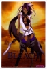 фотография Clear Soul Plate 2: Shihouin Yoruichi 