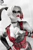 фотография Harley Quinn