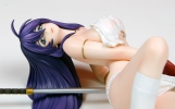 фотография Ikkitousen Battle Vixens: Unchou Kanu Lying Ver.