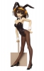 фотография Suzumiya Haruhi Metamo Bunny 1.5  Ver.