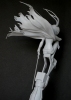 фотография Black★Rock Shooter