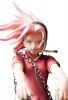 фотография Door Painting Collection Figure Sakura Haruno