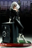 фотография Premium Format Figure Black Cat