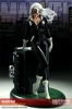 фотография Premium Format Figure Black Cat