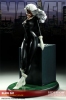 фотография Premium Format Figure Black Cat