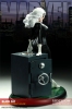 фотография Premium Format Figure Black Cat