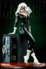 фотография Premium Format Figure Black Cat