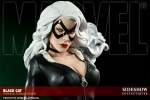 фотография Premium Format Figure Black Cat