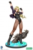 фотография DC COMICS Bishoujo Statue Black Canary