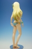 фотография Kashiwazaki Sena Swimsuit ver.