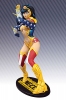 фотография DC Ame-Comi Heroine Series: Wonder Woman Ver.3