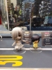 фотография Nendoroid Kuroki Tomoko
