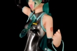 фотография -Project DIVA- Hatsune Miku HAPPY☆Miku Ver.