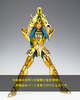фотография Saint Cloth Myth APPENDIX Aquarius Camus