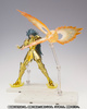 фотография Saint Cloth Myth EX Gemini Kanon