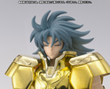 фотография Saint Cloth Myth EX Gemini Kanon