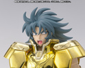 фотография Saint Cloth Myth EX Gemini Kanon