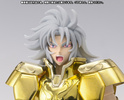 фотография Saint Cloth Myth EX Gemini Kanon