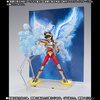 фотография Saint Cloth Myth EX Pegasus Seiya & Sagittarius Aiolos Effect Parts Set