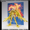 фотография Saint Cloth Myth EX Pegasus Seiya & Sagittarius Aiolos Effect Parts Set