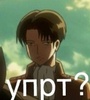 levi_botd