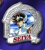фотография ZEPPIN Series Saint Seiya Pins Collection: Pegasus Seiya