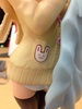 фотография Sonico-chan Everyday Life Collection Clothes Changing Time ver.