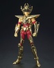 фотография Saint Cloth Myth Pegasus Seiya Genealogical Gold Ver.