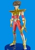 фотография Saint Seiya ~Saint Agalma I~: Pegasus Seiya Gold Cloth Ver.