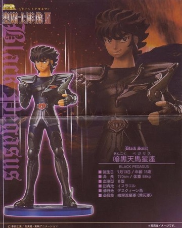 главная фотография Saint Seiya ~Saint Agalma III~: Black Pegasus