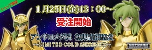 фотография Saint Cloth Myth Andromeda Shun First Bronze Cloth ~Limited Gold Andromeda~