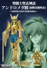 фотография Saint Cloth Myth Andromeda Shun First Bronze Cloth ~Limited Gold Andromeda~