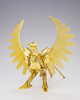фотография Saint Cloth Myth Phoenix Ikki First Bronze Cloth ~Limited Gold Phoenix~