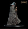 фотография Gandalf the Grey