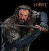 фотография Thorin Oakenshield