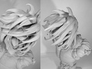 фотография Rogue Titan Bust