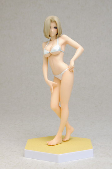 главная фотография Beach Queens Suzukaze Rin WF Special Version