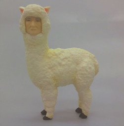 главная фотография Alpaca Man