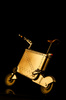 фотография ELECTRICAL SKOOTER