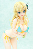 фотография Sena Kashiwazaki Swimsuit Ver.