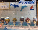 фотография Free! Chibi Kyun-Chara vol.3 ~Marine Style~: Tachibana Makoto