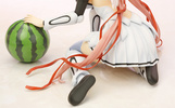фотография 4-Leaves Ikaros