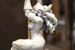 фотография Amazon Akiman ver.