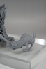 фотография TYPE ANIMAL Shimano MEDIC