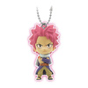 фотография Fairy Tail Swing: Natsu Dragneel