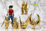 фотография Power Electroplating Mini Bronze Cloth Collection: Dragon Cloth Object Gold Ver.