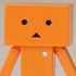 DANBOARD nano "FLAVORS": Danboard Pumpkin Ver.